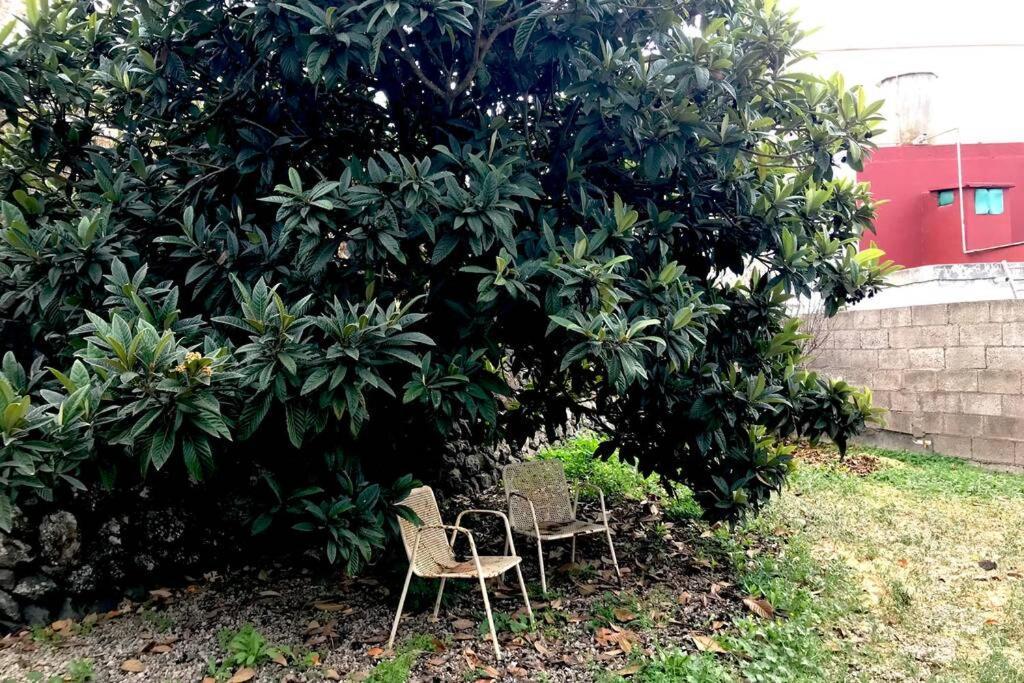 Casa Tia Ines Villa Vilaflor Luaran gambar